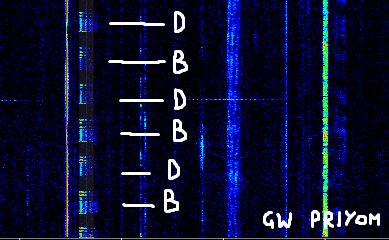 D & B spectrum